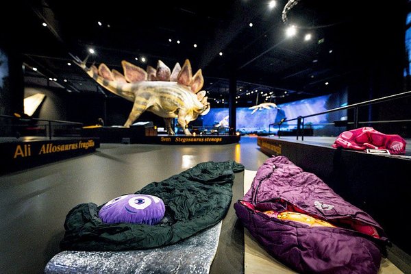 Dinosauria Museum Prague - náhled 18