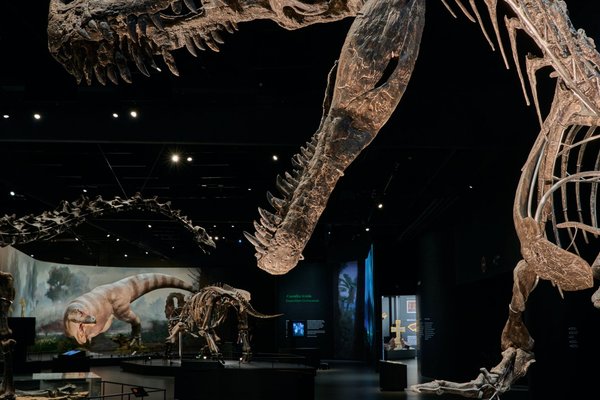 Dinosauria Private Tour@Dinosauria Museum Prague - náhled 5