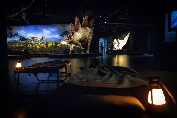 Dinosauria Private Tour@Dinosauria Museum Prague - náhled 6