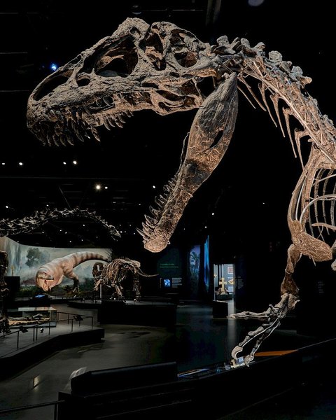 Dinosauria Museum Prague - Dinosauria Private Tour - náhled 10