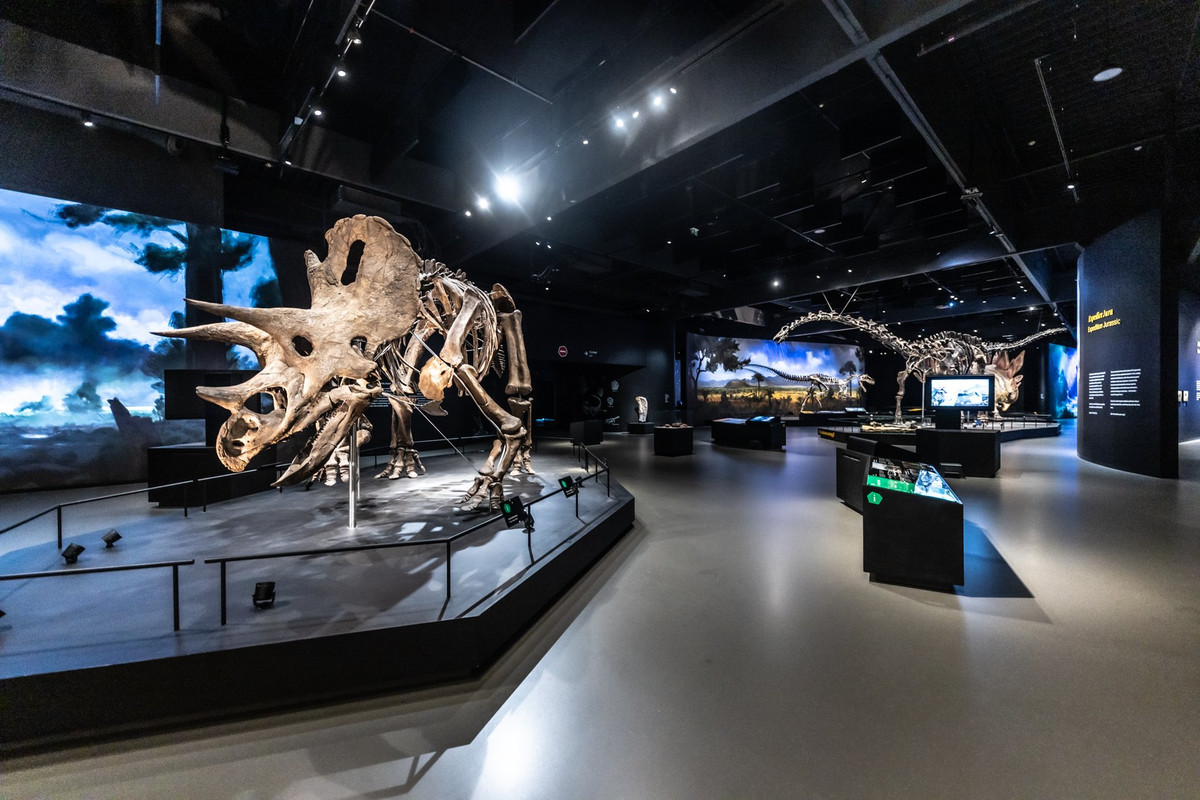 Firemní akce@Dinosauria Museum Prague - obrázek 1