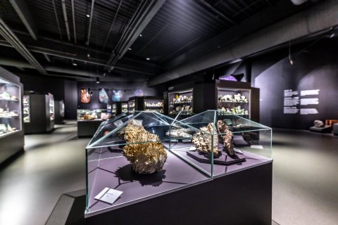 Dinosauria Museum Prague - Firemní akce - náhled 2