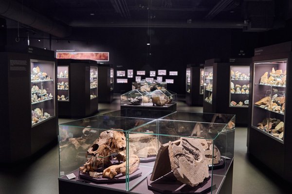 Firemní akce@Dinosauria Museum Prague - náhled 4