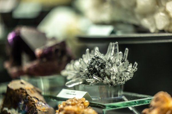 Firemní akce@Dinosauria Museum Prague - náhled 5