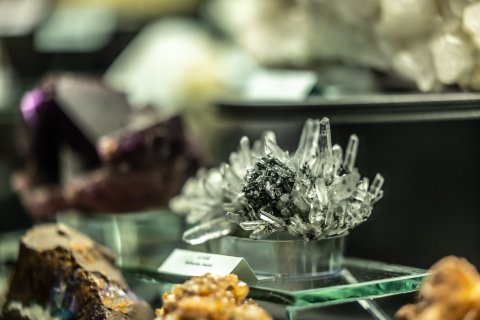 Dinosauria Museum Prague - Firemní akce - náhled 5