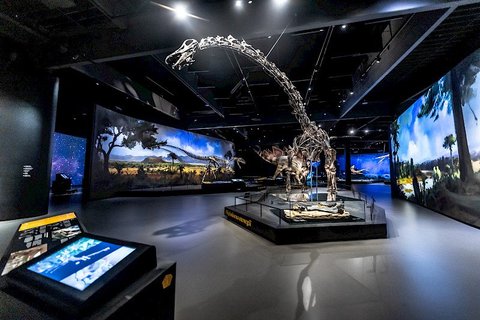 Dinosauria Museum Prague - Firemní akce - náhled 9