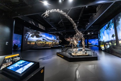 Dinosauria Museum Prague - Firemní akce - náhled 12