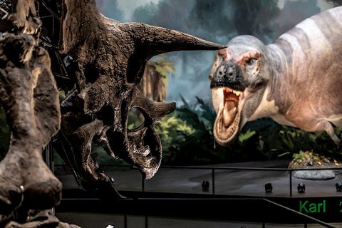 Dinosauria Museum Prague - Firemní akce - náhled 13