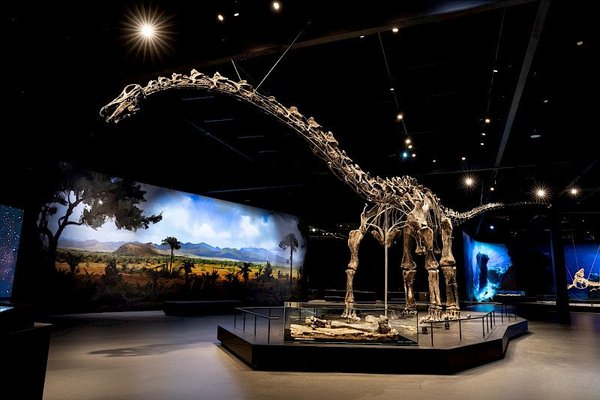 Firemní akce@Dinosauria Museum Prague - náhled 16