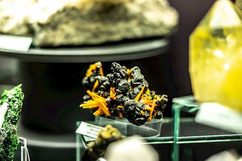 Dinosauria Museum Prague - Firemní akce - náhled 19