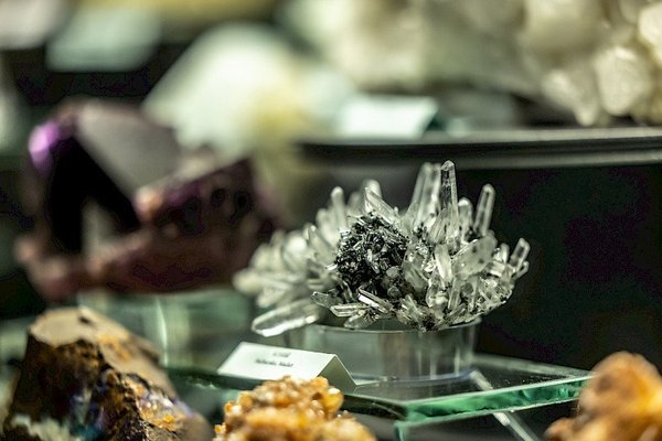 Firemní akce@Dinosauria Museum Prague - náhled 21