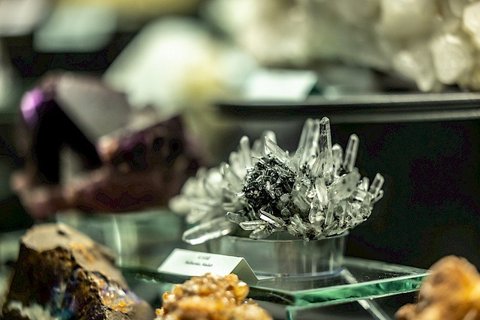 Dinosauria Museum Prague - Firemní akce - náhled 21