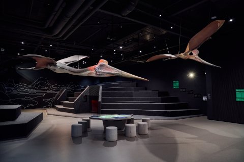 Dinosauria Museum Prague - Firemní akce - náhled 23