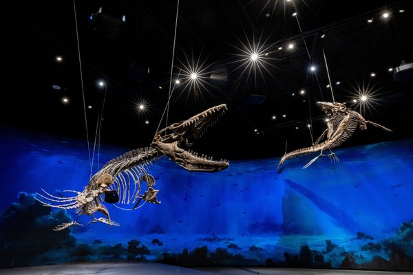 Firemní akce@Dinosauria Museum Prague - náhled 27