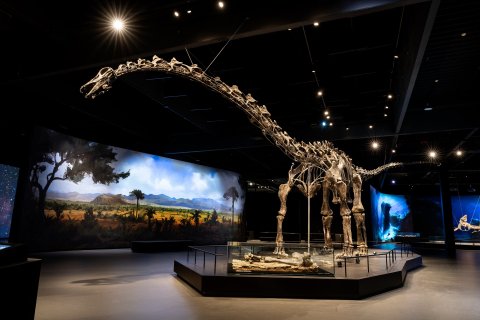 Dinosauria Museum Prague - Firemní akce - náhled 29