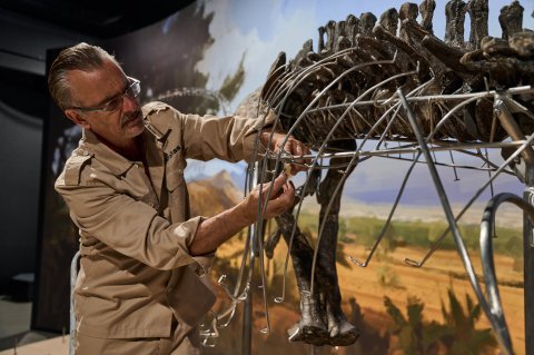 Dinosauria Museum Prague - Firemní akce - náhled 30