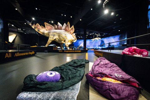 Dinosauria Museum Prague - Noc v muzeu - náhled 1