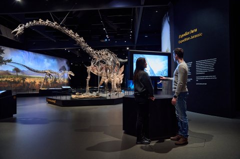 Dinosauria Museum Prague - Noc v muzeu - náhled 4