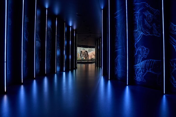 Noc v muzeu@Dinosauria Museum Prague - náhled 5