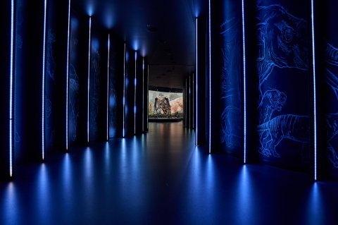 Dinosauria Museum Prague - Noc v muzeu - náhled 5