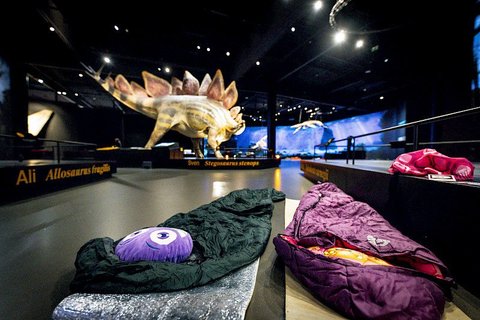 Dinosauria Museum Prague - Noc v muzeu - náhled 7