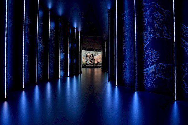 Noc v muzeu@Dinosauria Museum Prague - náhled 10