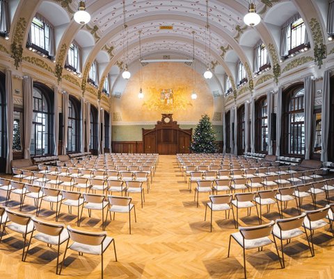 Fantův Sál - náhled 3