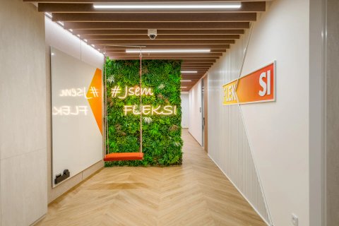 FLEKSI Beta - náhled 5