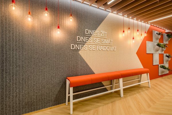 FLEKSI Beta - náhled 7