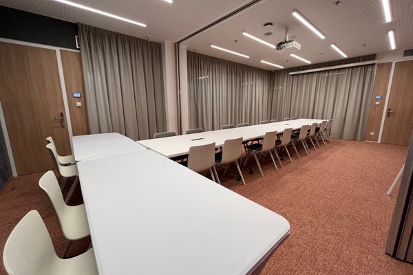 Zasedací místnost Pascal & Papin@FLEKSI Beta - náhled 11