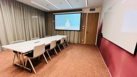 FLEKSI Beta - Zasedací místnost Pascal - náhled 4