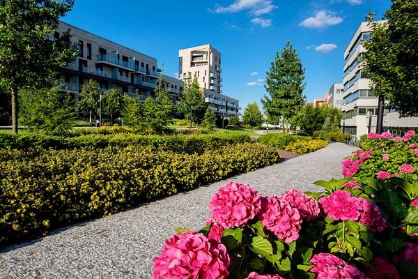 Purple & Blue@FLEKSI Filadelfie - náhled 8