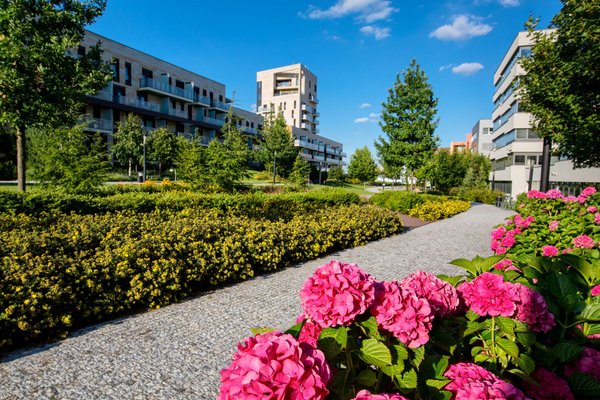 Purple & Blue@FLEKSI Filadelfie - náhled 19