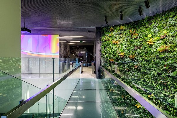 Purple@FLEKSI Filadelfie - náhled 6