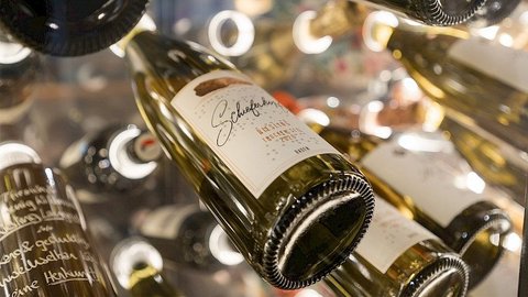 Galerie kavárny Louvre - náhled 14