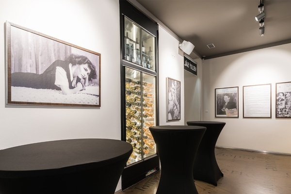 Galerie kavárny Louvre - náhled 19