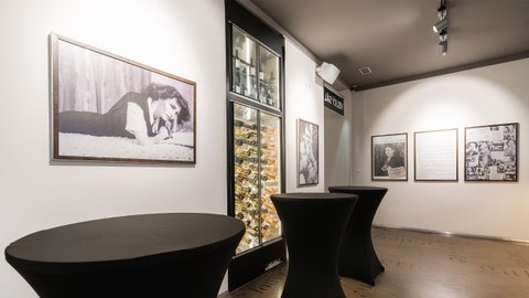 Galerie kavárny Louvre - náhled 19