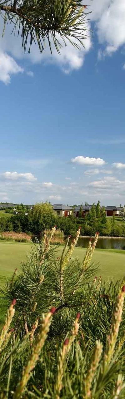 Golf Resort Black Bridge