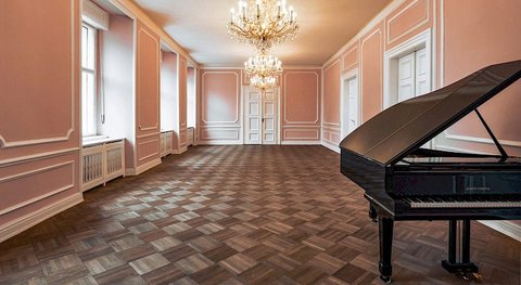 Hartigovský palác - náhled 11