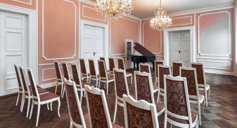 Hartigovský palác - Růžový sál - náhled 7