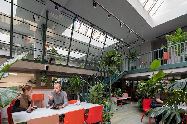 Healthy Longevity Cafe - náhled 3