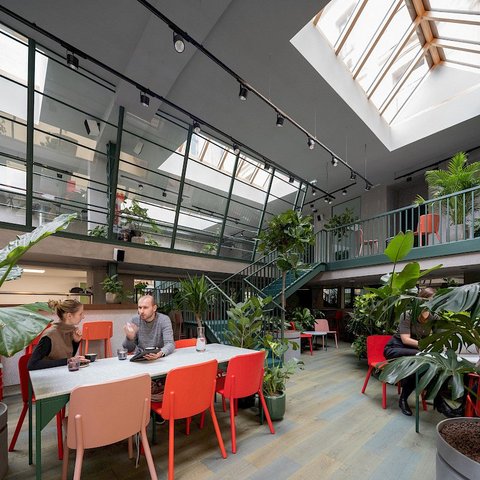 Healthy Longevity Cafe - náhled 3