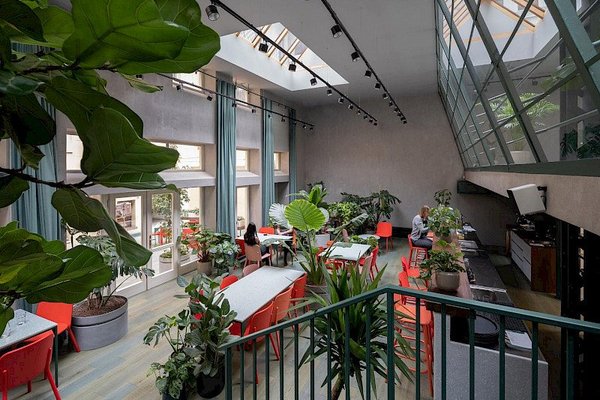 Healthy Longevity Cafe - náhled 4