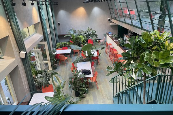 Healthy Longevity Cafe - náhled 5