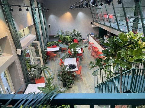 Healthy Longevity Cafe - náhled 5