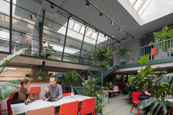 Healthy Longevity Cafe - náhled 8