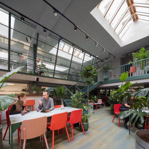 Healthy Longevity Cafe - náhled 8