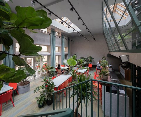 Healthy Longevity Cafe - náhled 9