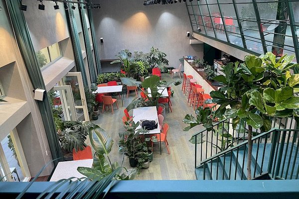 Healthy Longevity Cafe - náhled 11