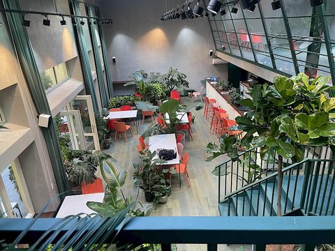 Healthy Longevity Cafe - náhled 11